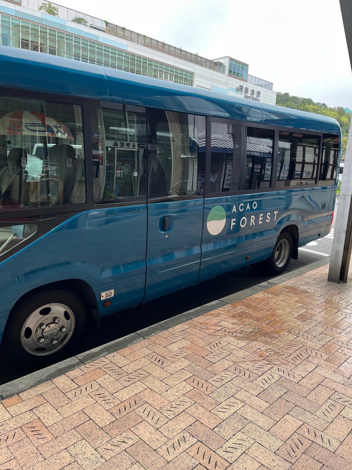 🏞️ 아카오 숲 (아카오 포레스트) 이미지 8